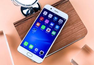 大数据洞察 中国手机市场中的OPPO现象——从用户占比到配件与服务的全链路解析